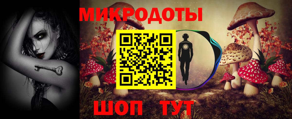 Тулун  Галлюциногенные грибы Cubensis  Вход с VPN 